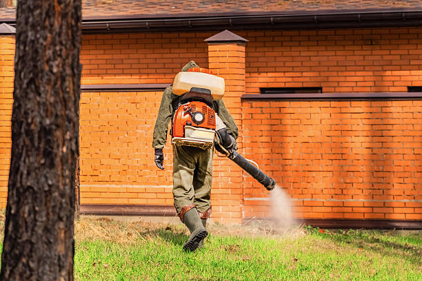 Trusted Emergency Pest Control service in Maysville, NC - Nex Pest Control